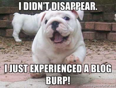 blog burp